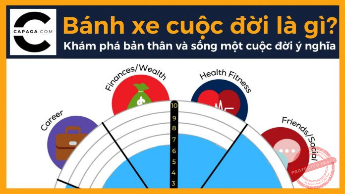 Bánh xe cuộc đời là gì? Khám phá bản thân và sống một cuộc đời ý nghĩa