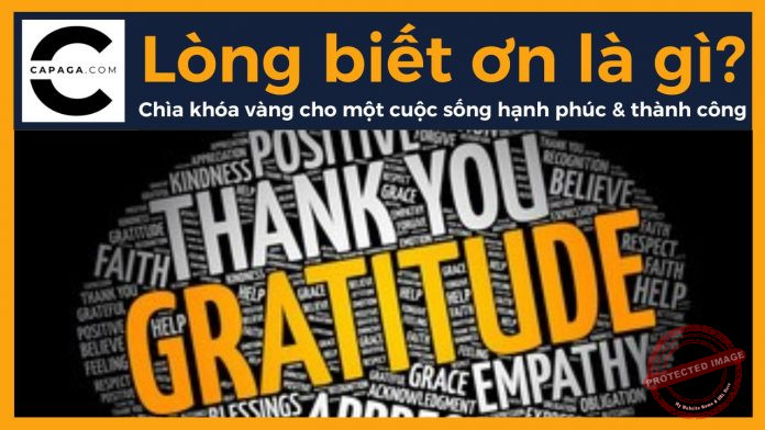 Lòng biết ơn là gì? Chìa khóa vàng cho một cuộc sống hạnh phúc và thành công
