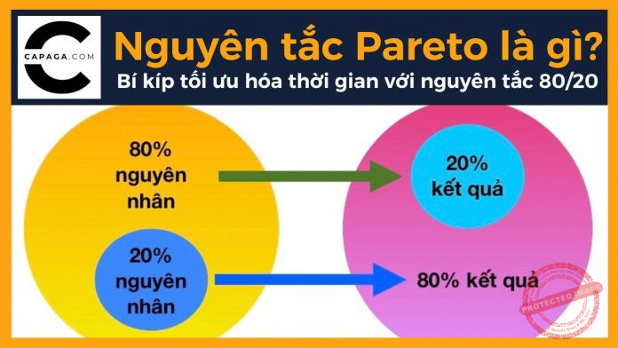 Nguyên tắc Pareto là gì? Bí kíp tối ưu hóa thời gian với nguyên tắc 80/20