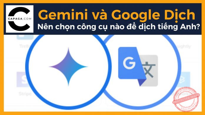 Gemini và Google Dịch - Nên chọn công cụ nào để dịch tiếng Anh?