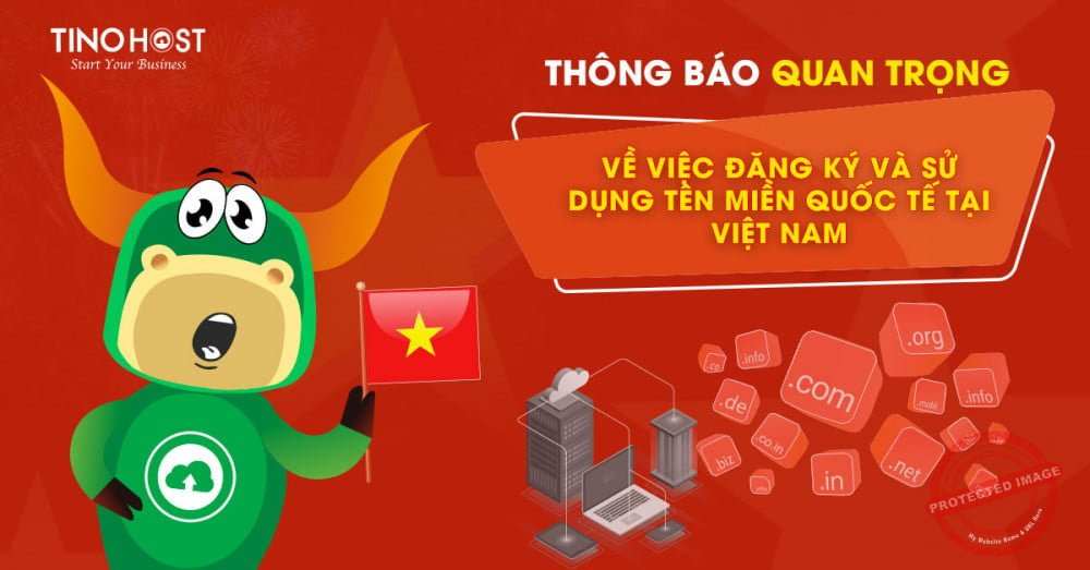 Mua tên miền uy tín và giá rẻ nhất tại TinoHost