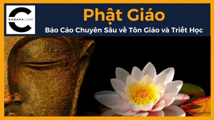 Phật Giáo là gì? Báo Cáo Chuyên Sâu về một Tôn Giáo và Triết Học
